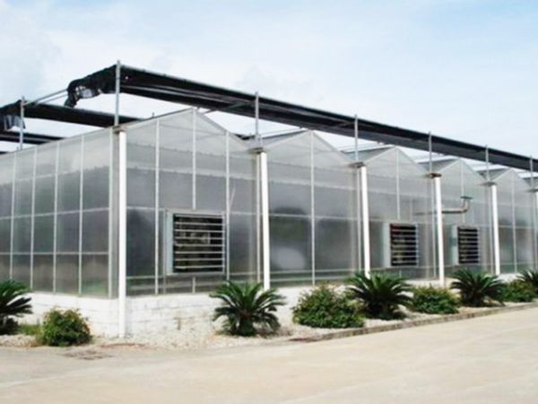 临沂阳光板温室案例