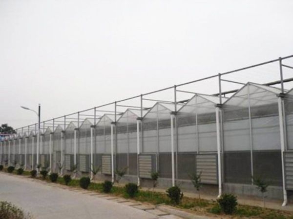 PC阳光板温室