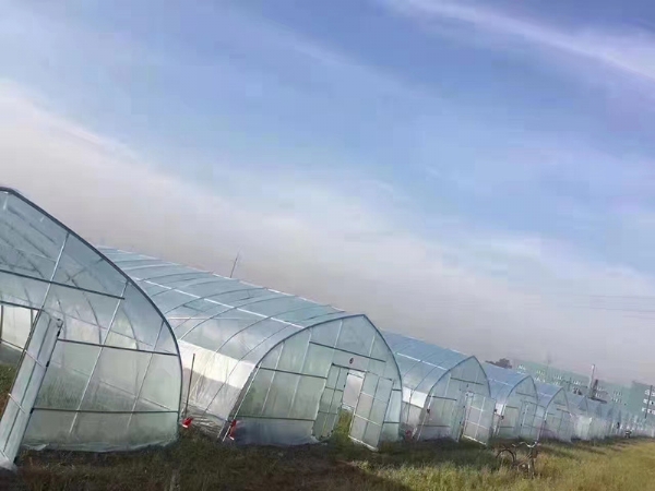 微信图片_202205311146533