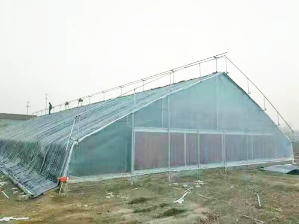 日光温室