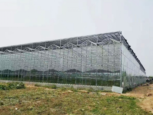 微信图片_202205311147453